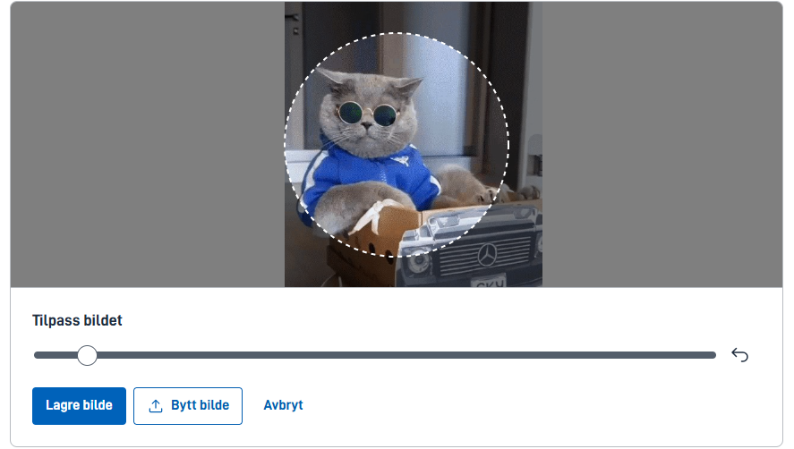 Image upload preview anatomy