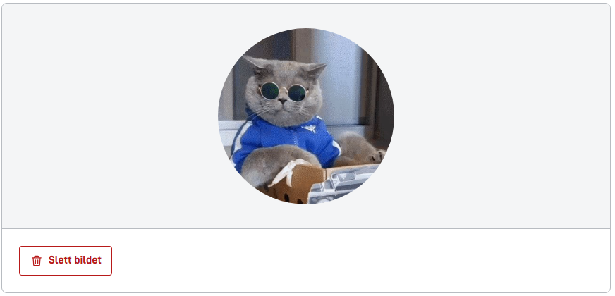Image upload saved image anatomy