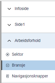 “Skjemabygger med bransje”