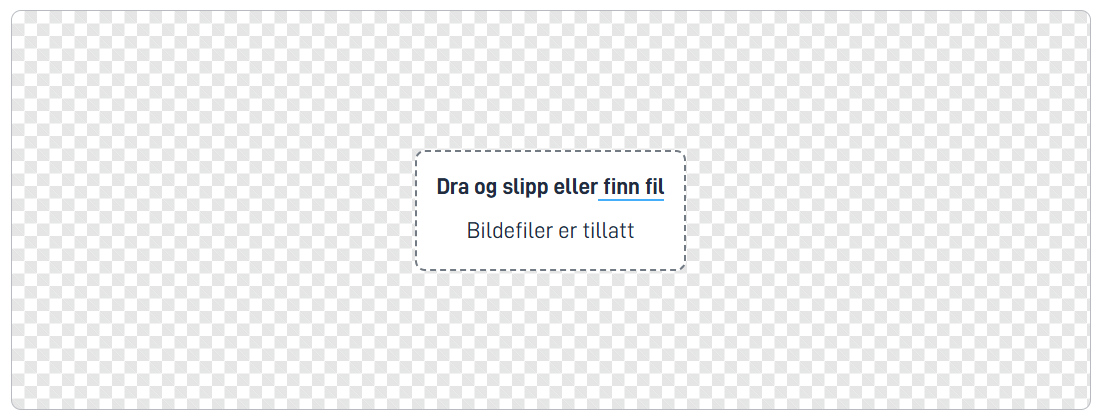 Bildeopplaster anatomi